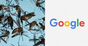 DawentsIT: 64 Million Mosquitoes. One Google Experiment (Debug))